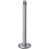 Wildcat Micro labret sans boule - 1,2 mm, 5,0 mm, Hopeinen metalli
