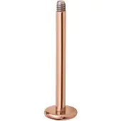 Wildcat Rosegold Micro Labret<!--63e0a4fc794aa--> - 1,2 mm, 5,0 mm