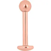 Wildcat Micro Basic Labret - Lävistyskoru - 1,2 mm, 8,0 mm, Ruusukultainen metalli