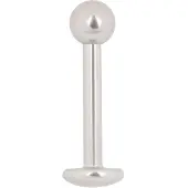 Wildcat Micro Labret Stud - Lävistyskoru - 7,0 mm