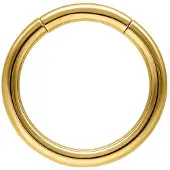 Wildcat Basic Segmentring - lävistysrengas - 2,0 mm, Kultainen metalli, 13,0 mm