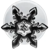 Wildcat Snowflake Push-Fit Labret<!--63f76e0c1f4e7--> - Musta metalli