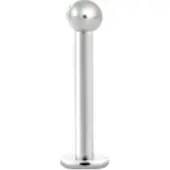 Wildcat Fine Titan Internally Labret - sisäkierteinen labret-lävistyskoru - 1,6 mm, 7,0 mm, Hopeinen metalli, 4,0 mm