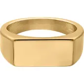 Wildcat Sealed Ring - sormus - Kultainen metalli, 21,0 mm
