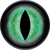 Wildcat Verena Venus - Eye - Plugi - 1 kpl - 22,0 mm