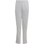 Adidas Urheiluhousut 'Squadra 25' vaaleanharmaa / valkoinen