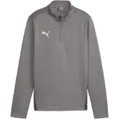 Puma Toiminnallinen paita 'Team Goal' harmaa