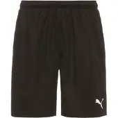 Puma Teamrise Training Shortsit