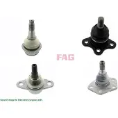 Schaeffler FAG Pallonivel 825 0439 10