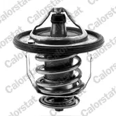 CALORSTAT by Vernet Thermostat, coolant