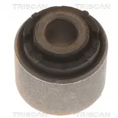 TRISCAN Tukivarren hela 8500 43863