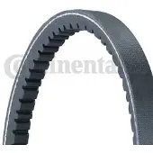 CONTITECH V-Ribbed belt