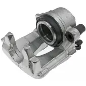 LAUBER Jarrusatula 77.5569