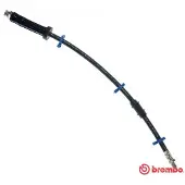 Brembo Jarruletku T 61 066