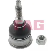 Schaeffler FAG Pallonivel 825 0355 10