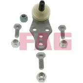 Schaeffler FAG Pallonivel 825 0356 10
