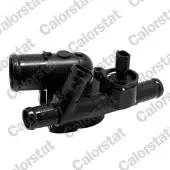 CALORSTAT by Vernet Thermostat, coolant