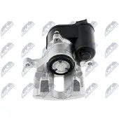 NTY Jarrusatula HZT-VV-010
