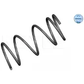 Meyle Jousi (auton jousitus) 30-14 639 0001