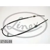 Linex Vaijeri, seisontajarru 17.01.03