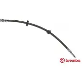 Brembo Jarruletku T 24 117