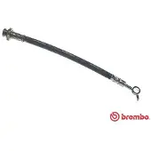 Brembo Jarruletku T 56 162