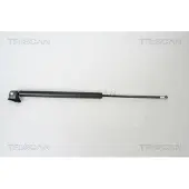 TRISCAN Kaasujousi, tavaratila 8710 50240