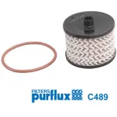 PURFLUX Polttoainesuodatin C489