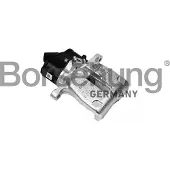 Borsehung Jarrusatula B18530