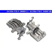 Ate 24.3384-1755.5 - Jarrusatula