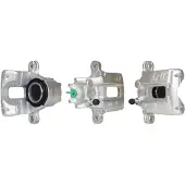 ELSTOCK 86-2456 - Jarrusatula