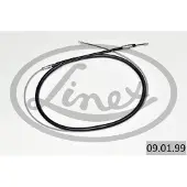 Linex Vaijeri, seisontajarru 09.01.99