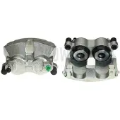 BUDWEG CALIPER Jarrusatula 343867