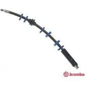 Brembo Jarruletku T 23 143