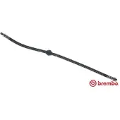 Brembo Jarruletku T 61 036