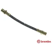 Brembo Jarruletku T 59 044