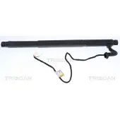 TRISCAN Kaasujousi, tavaratila 8710 11302