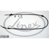Linex Vaijeri, seisontajarru 17.01.38