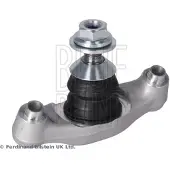 Blue Print Pallonivel ADBP860254