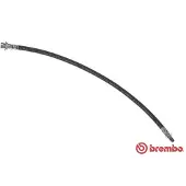Brembo Jarruletku T 24 098
