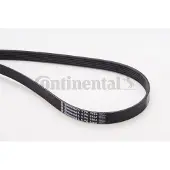 CONTITECH Moniurahihna CONTINENTAL 6PK2404