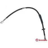 Brembo Jarruletku T 85 157