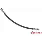Brembo Jarruletku T 56 141