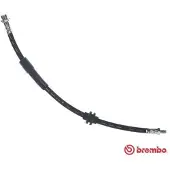 Brembo Jarruletku T 24 149