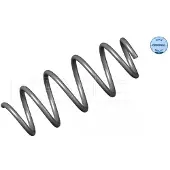 Meyle Jousi (auton jousitus) 16-14 321 0002