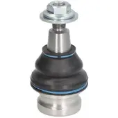 REINHOCH Pallonivel RH03-0042