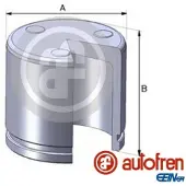 AUTOFREN SEINSA brake calliper piston