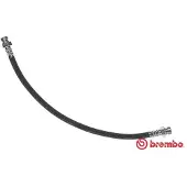 Brembo Jarruletku T 30 072