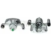 BUDWEG CALIPER Jarrusatula BUDWEG CALIPER 343618
