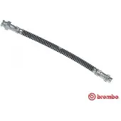 Brembo Jarruletku T 61 053